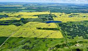 Sask, Alberta Ag Ministers upset with fertilizer emissions reduction target